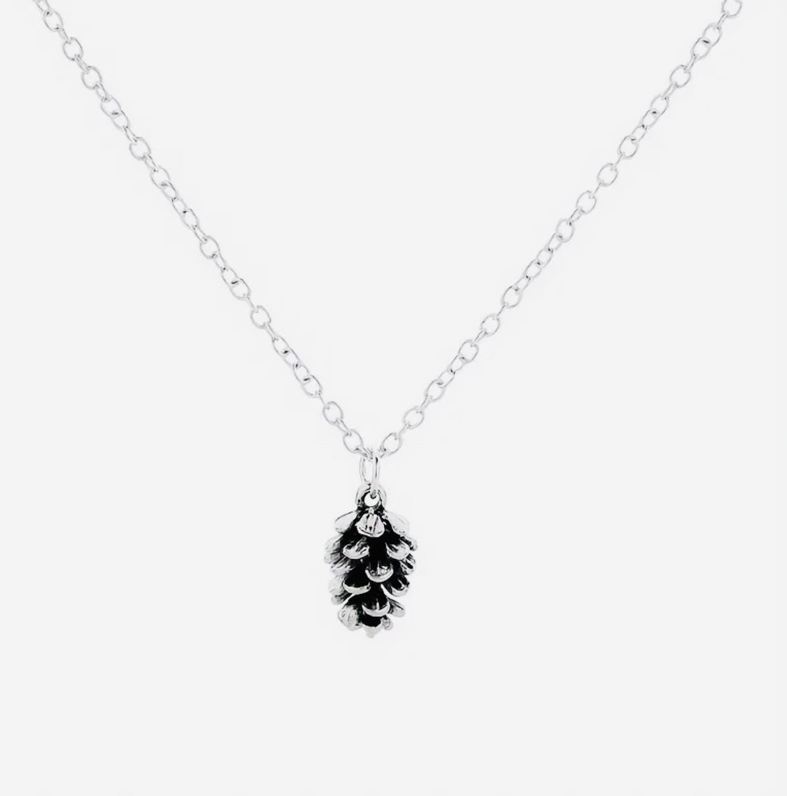 Bonito Pendiente de Aleación Chapado en Oro 18k. Hipoalergenico Disponible en Plateado y Dorado! Motivo Hermosa Semilla de Pino 🌲