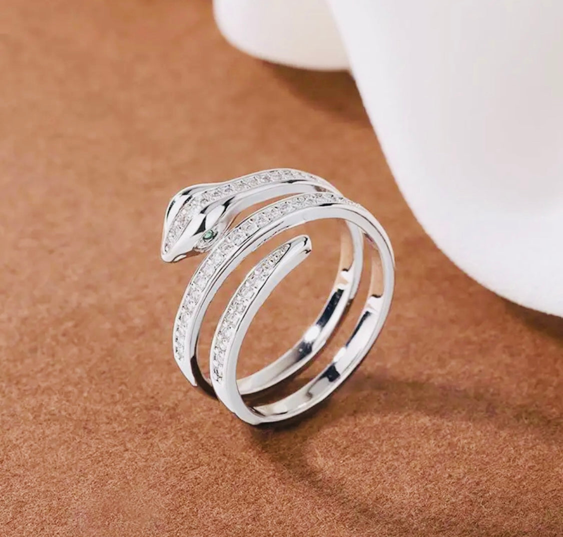 Hermosos Aretes Corona de la Victoria con incrustaciones de circonias- Hipoalergenicos - Ideales para Regalo