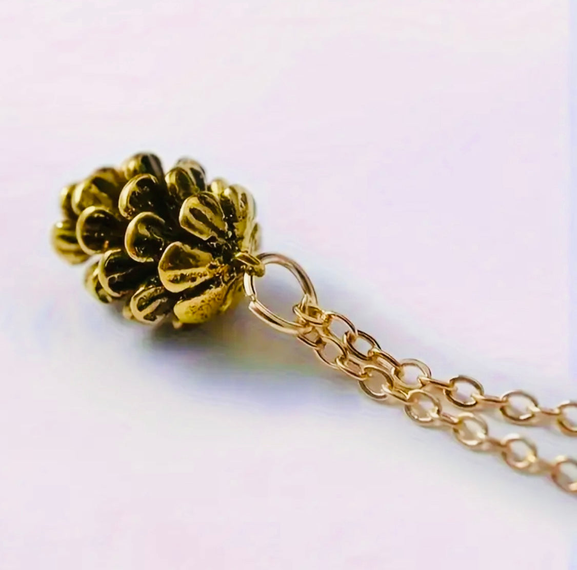 Bonito Pendiente de Aleación Chapado en Oro 18k. Hipoalergenico Disponible en Plateado y Dorado! Motivo Hermosa Semilla de Pino 🌲